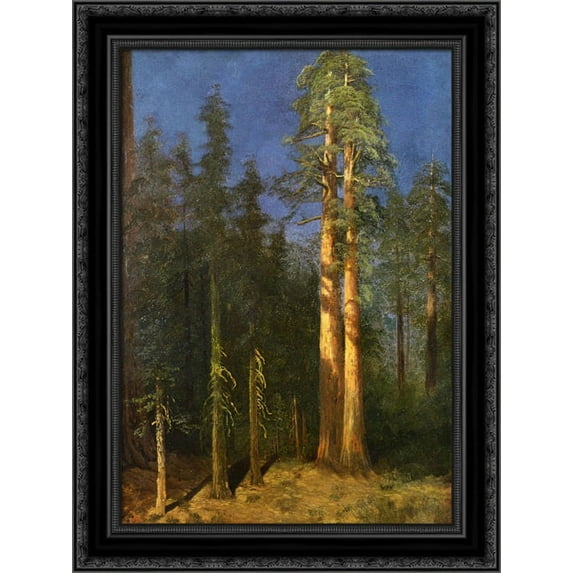 California Redwoods 20x24 Black Ornate Wood Framed Canvas Art by Bierstadt, Albert