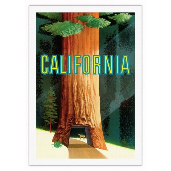 California Redwoods - Vintage Travel Poster by David Klein c.1950s - Fine Art Rolled Canvas Print 27in x 40in