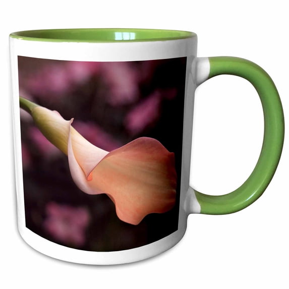 3drose, California, San Diego, Pink Calla Lily Unfurling, 11oz Two-tone Green Mug