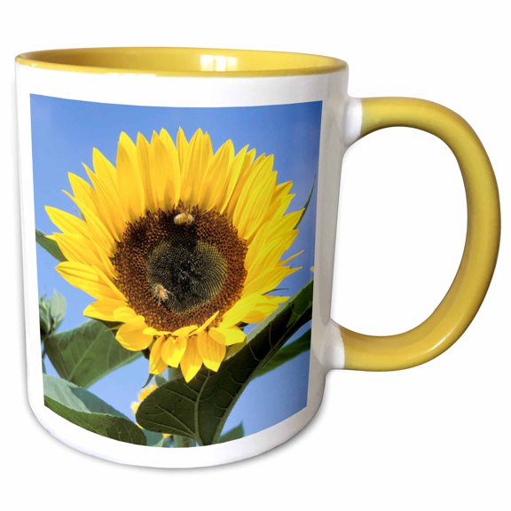 3drose, California, Santa Barbara, Sunflower with Bees - Us05 Sav0031 - Savanah Stewart, 11oz Two-tone Yellow Mug