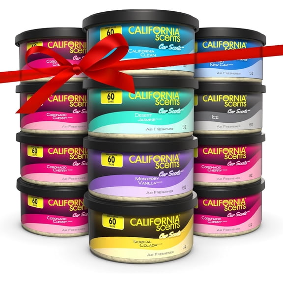 Can Air Freshener and Odor Neutralizer, Set of 12 Spillproof Cans for Home and Car, Stocking Stuffers, Assorted Scents, 1.5 Oz Each (Packaging May Vary)