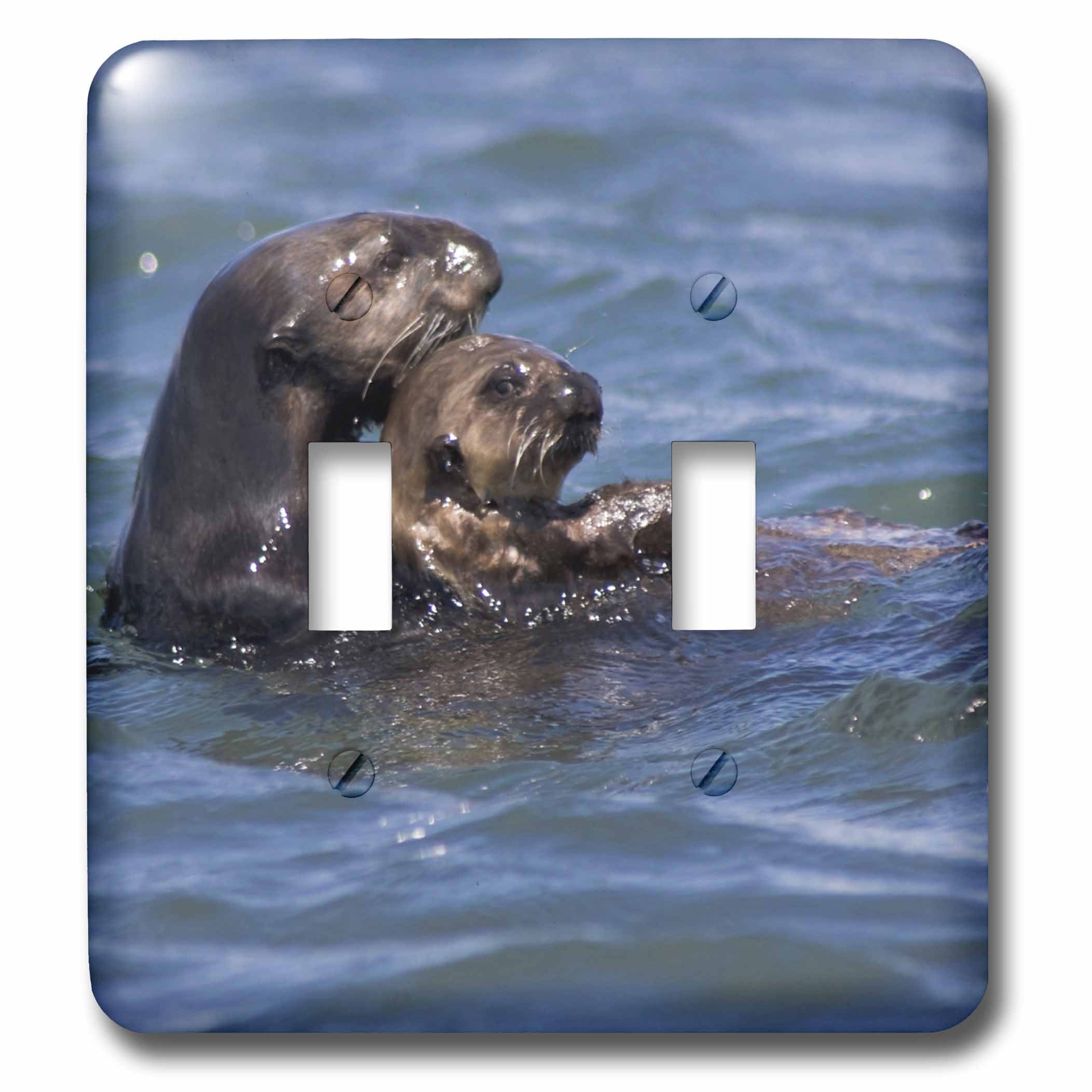 3dRose Magic Color Changing Mug - California Sea Otter Design, 11 Oz Blue/White Mug