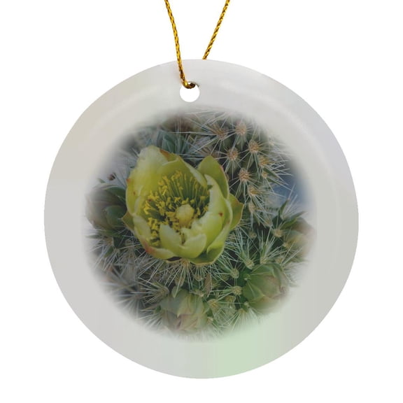 3drose, California. Silver Cholla Cactus in Anza Borrego Desert State Park, Circle Porcelain Ornament