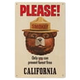 thumbnail image 1 of California, Smokey Bear, Only You Can Prevent Forest Fires, Officially Licensed Vintage Poster Birch Wood Wall Sign (6x9 Rustic Home Decor, Ready to Hang Art), 1 of 5