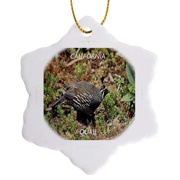 3drose, California State Bird Quail, 3 inch Snowflake Porcelain Ornament