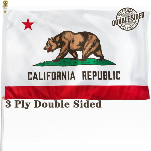 California State Flag 3x5 ft, 3 Ply Polyester Double Sided CA Flag with Vibrant Print/4 Rows Hemming/Brass Grommets
