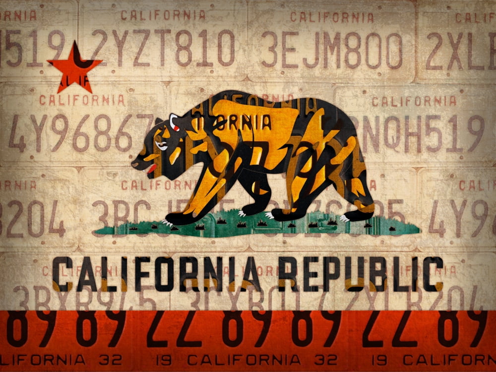 California State Flag License Plate Art Canvas Art - Design Turnpike (32 x 24)