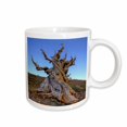 thumbnail image 1 of 3drose, California, White Mountains, Bristlecone Pine Tree - Us05 Bja0483 - Jaynes Gallery, 15oz Mug, 1 of 6