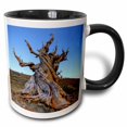thumbnail image 1 of 3drose, California, White Mountains, Bristlecone Pine Tree - Us05 Bja0483 - Jaynes Gallery, 15oz Two-tone Black Mug, 1 of 6