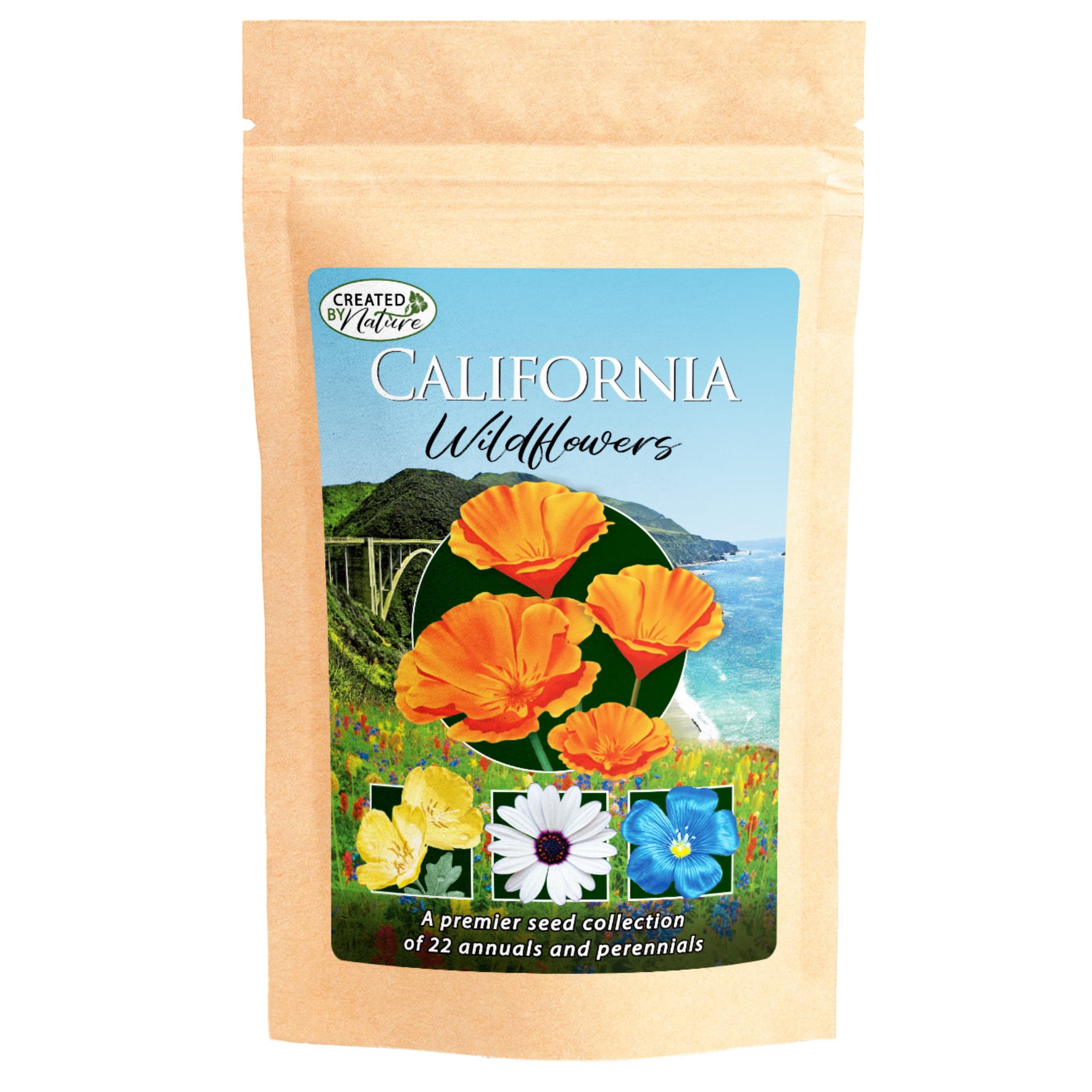 California Wildflower Seed Mix, Covers 325 Sq Ft, 22 Flower Varieties