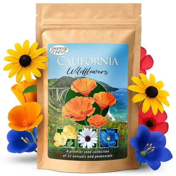 California Wildflower Seed Mix with Poppies, 22 Flower Varieties, 54,000+ Seeds - Created By Nature