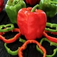 thumbnail image 1 of California Wonder Bell Pepper - 1 OZ ~3,360 Seeds - Organic, Non-GMO, Open-Pollinated, Heirloom, Vegetable Gardening Seeds - Sweet Pepper, 1 of 2
