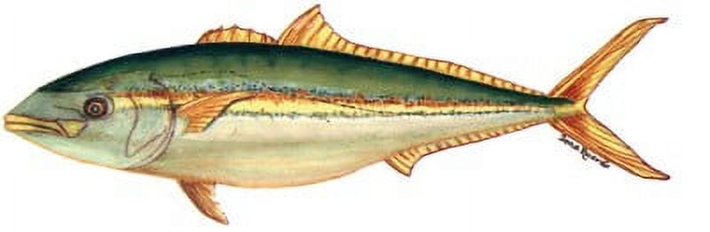 California Yellowtail Decal - Walmart.com