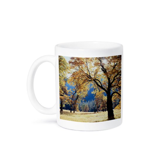 3drose, California, Yosemite, California Black Oak Tree, 15oz Mug