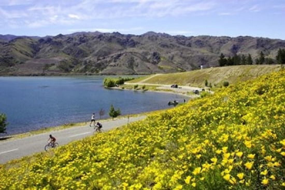 Californian Poppies and Cyclists Lake Dunstan South Island New Zealand Canvas Art - David Wall DanitaDelimont (17 x 11)