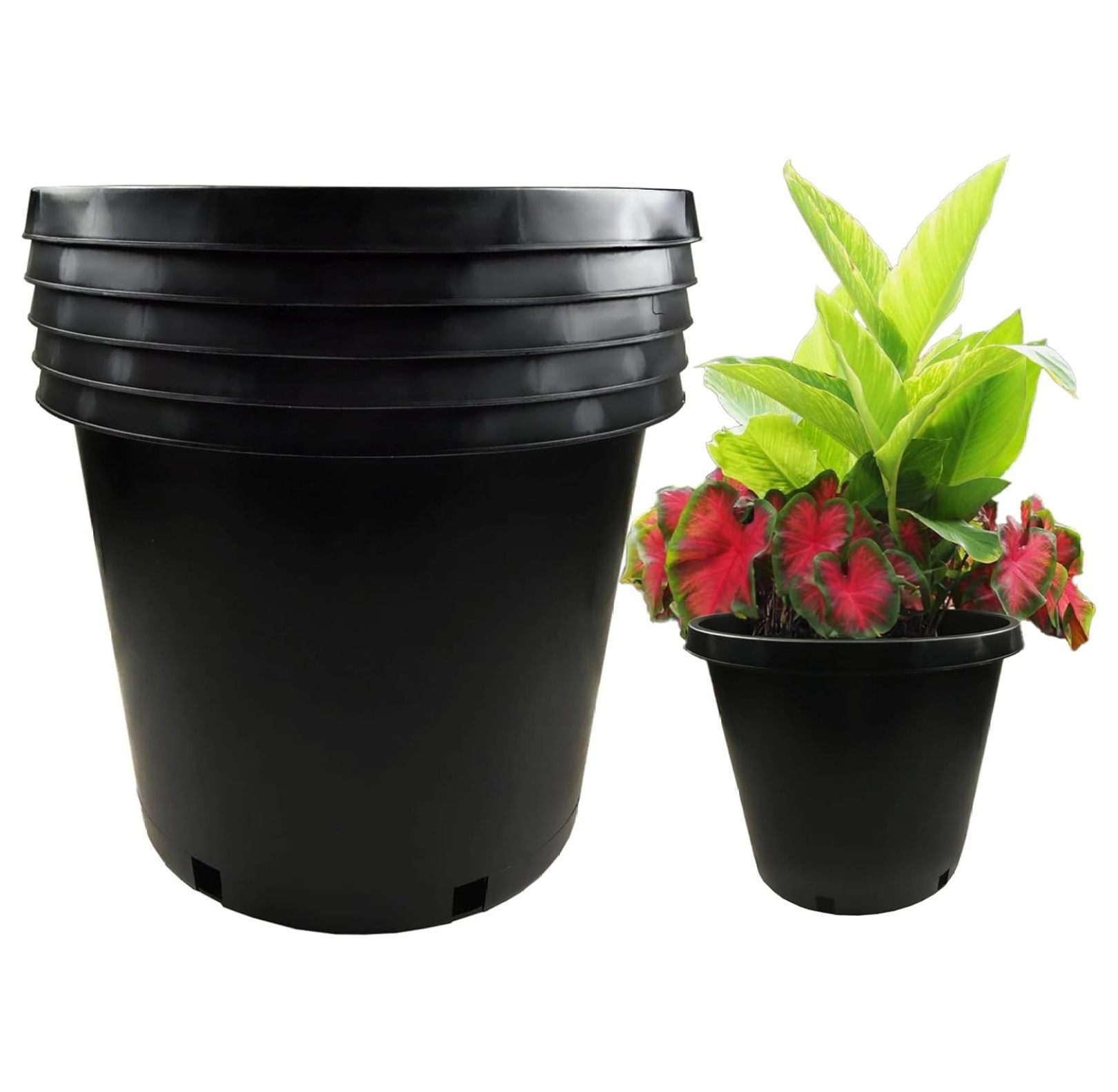 Calipots 5Pack 15 Gallon Premium Black Plastic Nursery Plant Container