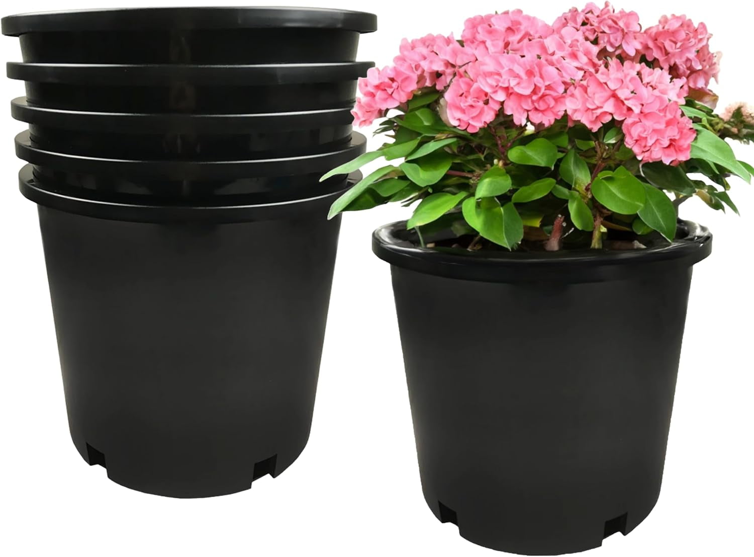 Calipots 5-Pack 5 Gallon Premium Black Plastic Nursery Container ...