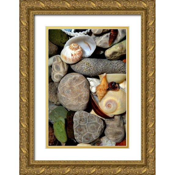 Calkins, Michelle 11x14 Gold Ornate Wood Framed with Double Matting Museum Art Print Titled - Petoskey Stones II