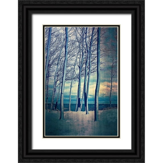 Calkins, Michelle 17x24 Black Ornate Wood Framed with Double Matting Museum Art Print Titled - Winter At Lake Michigan