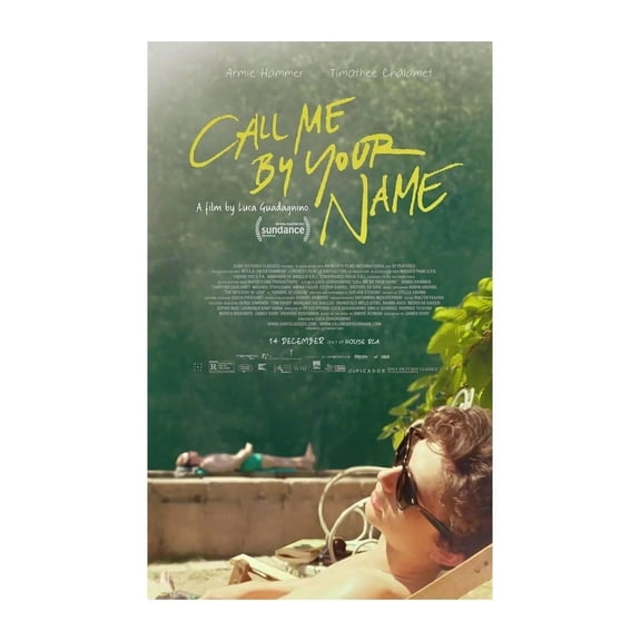 Call Me by Your Name Poster (4) Classic Movie Vintage Posters Art Decor Painting Aesthetic Wall Art Canvas for Bedroom Decor