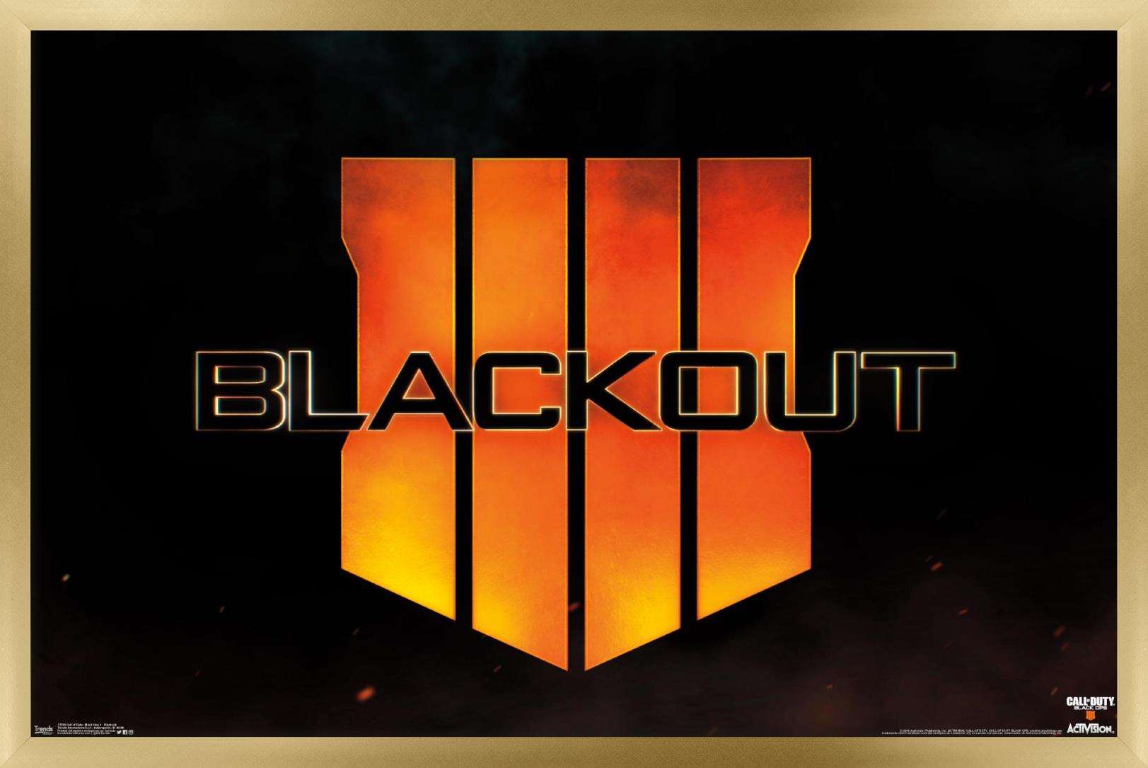 Call of Duty: Black Ops 4 - Blackout Wall Poster, 22.375" x 34", Framed