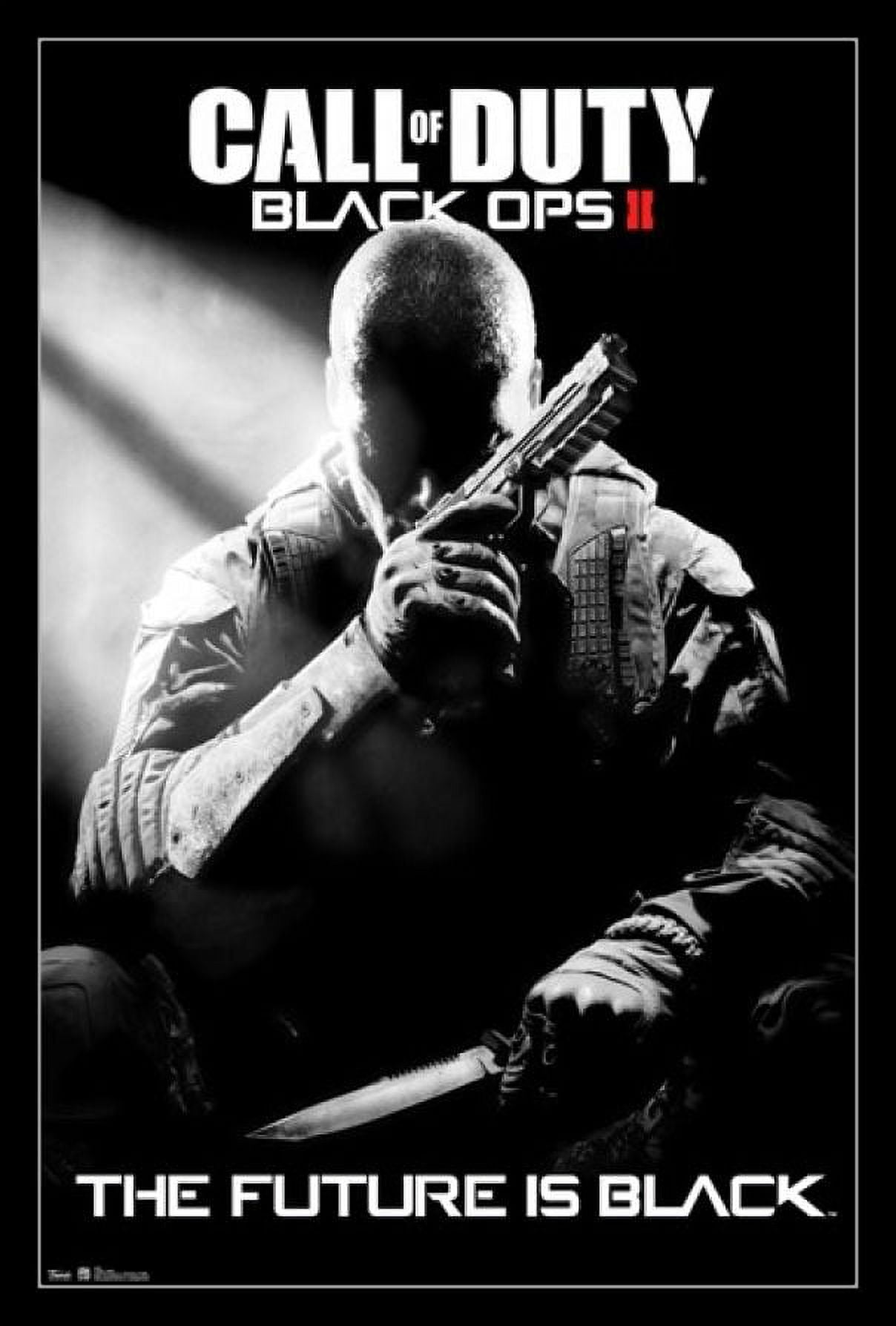 Call of Duty Black Ops II - Stealth Laminated & Framed Poster Print (24 x  36) - Walmart.com