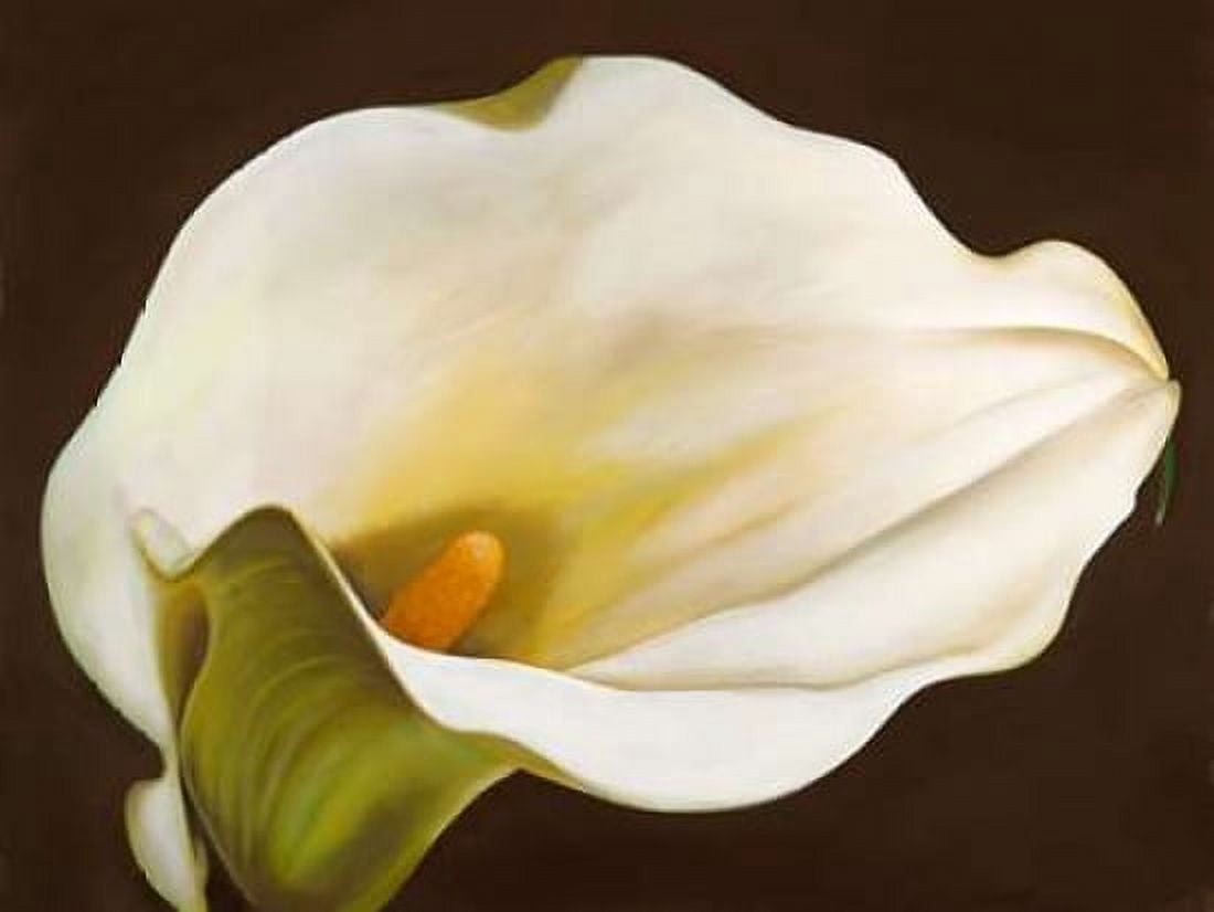 Calla Canvas Art - Serena Biffi (22 x 28)