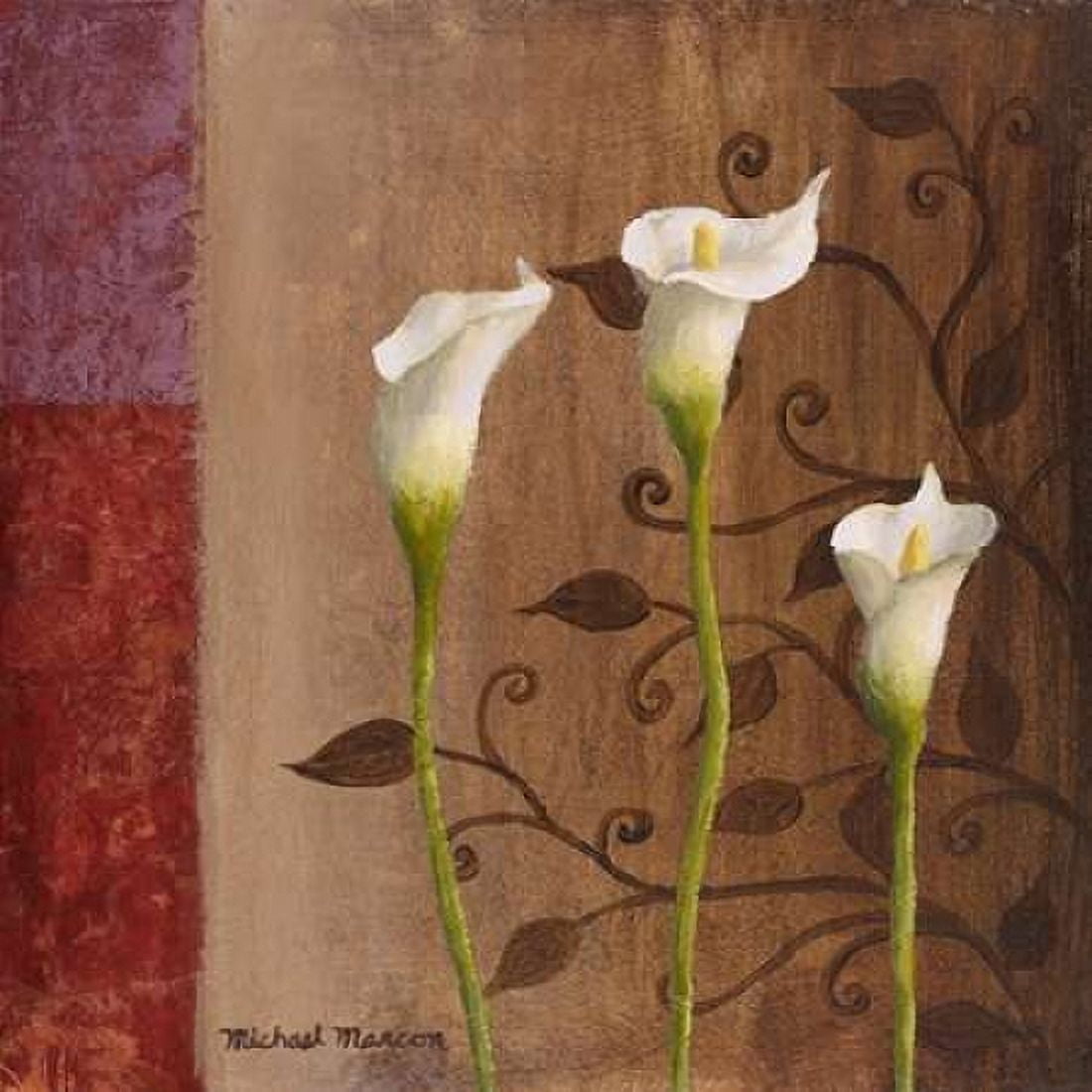 Calla Lilies I Canvas Art - Michael Marcon (24 x 24)