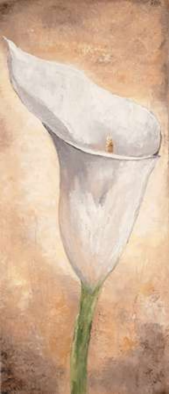 Calla Lilly I Canvas Art - Lenna Lotus (10 x 20)