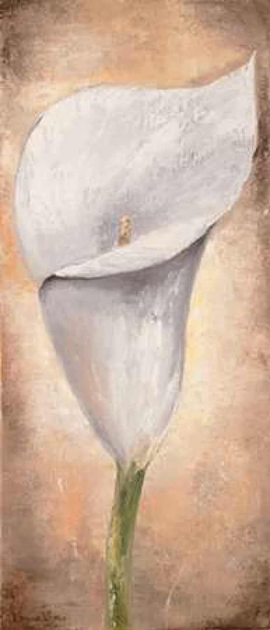 Calla Lilly III Canvas Art - Lenna Lotus (10 x 20)