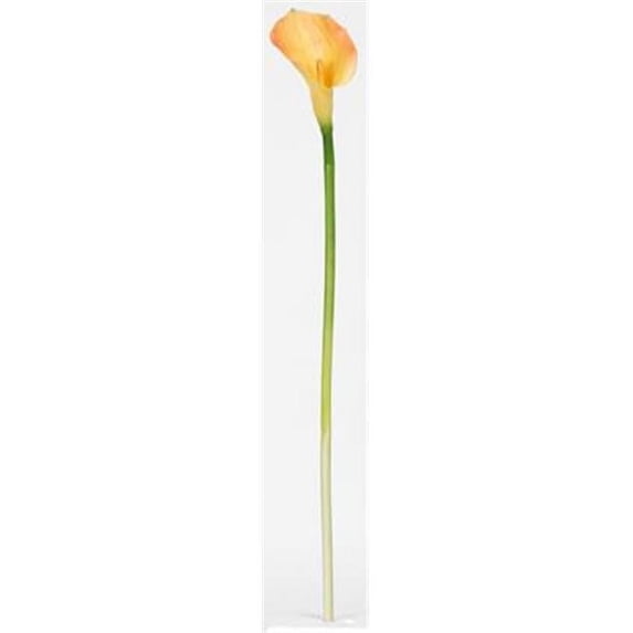 Calla Lilly Silk Flower (12 Stems)