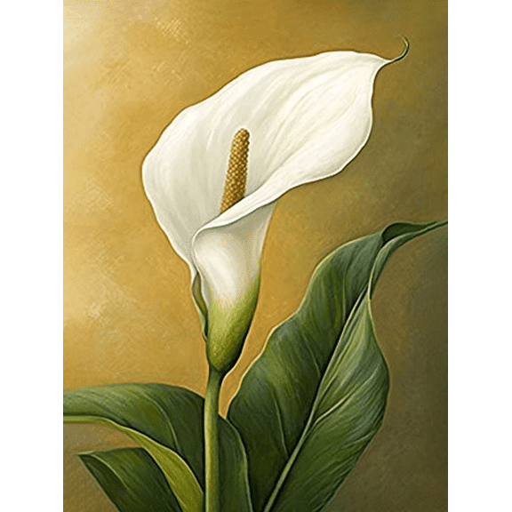 Calla Lily Decorative Painting/Canvas Art Suitable for Decorating Living Room Bedroom Dining Room Kitchen Office Study Bathroom Hallway Entryway and Hotel Guest Room or Apartment.