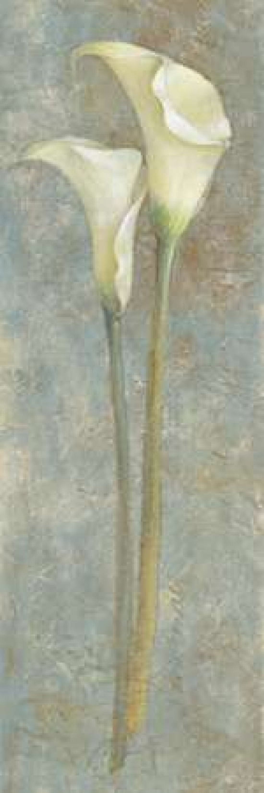 Calla Lily II Canvas Art - Lanie Loreth (12 x 36)