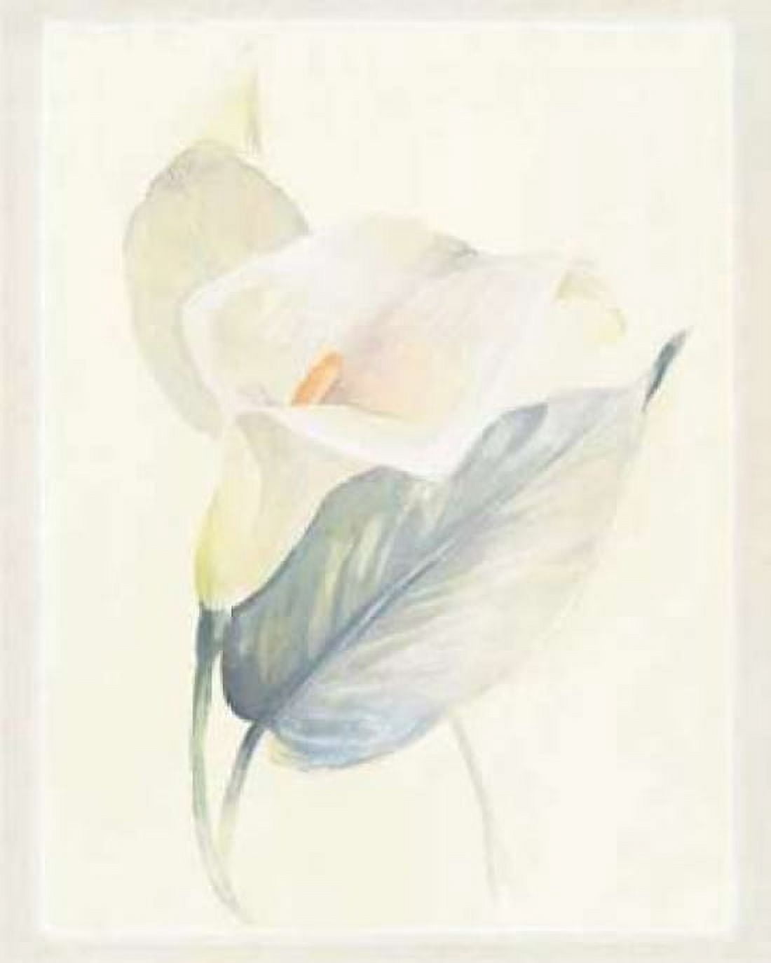Calla Lily III Canvas Art - Paul Hargittai (18 x 24)