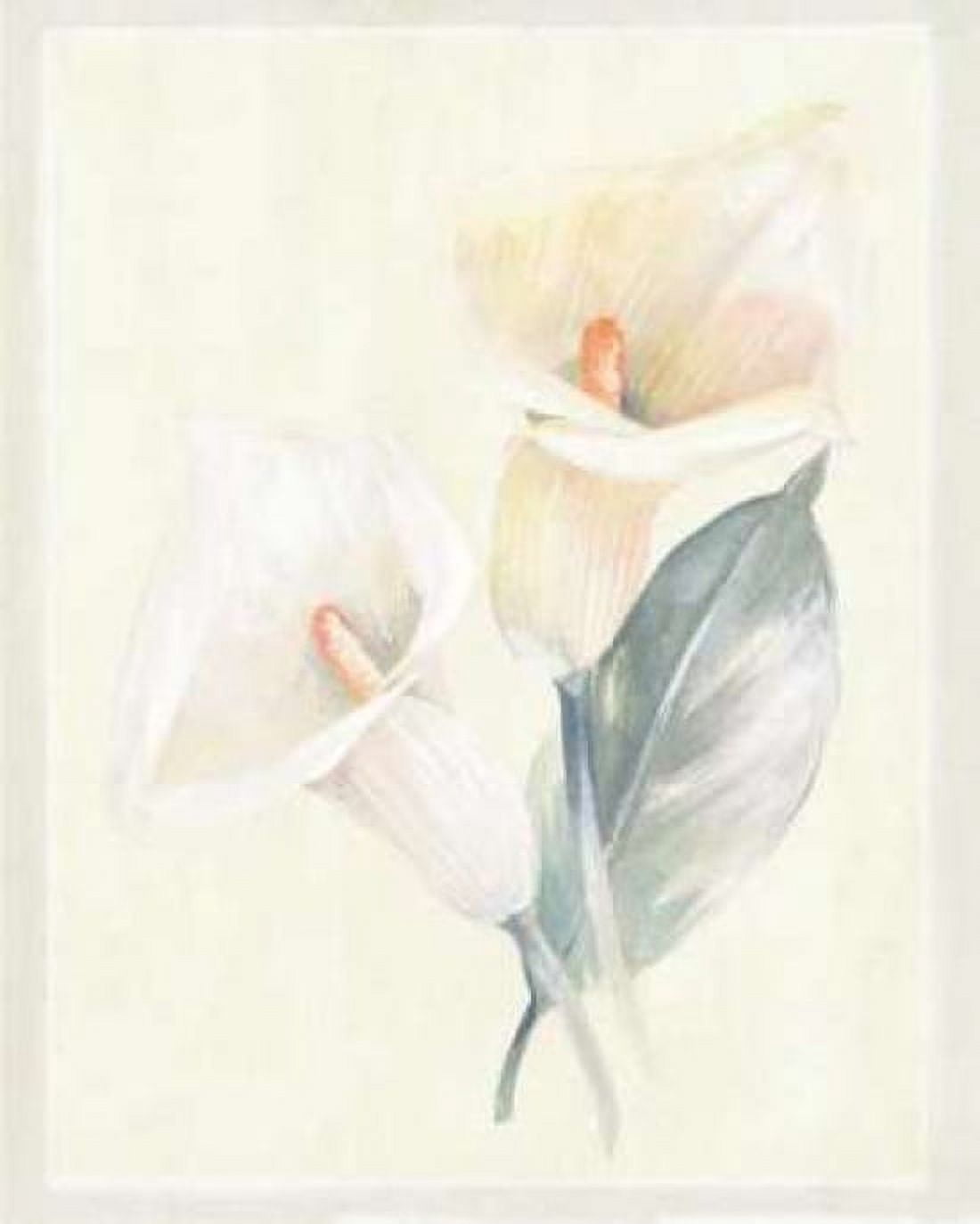 Calla Lily IV Canvas Art - Paul Hargittai (18 x 24)