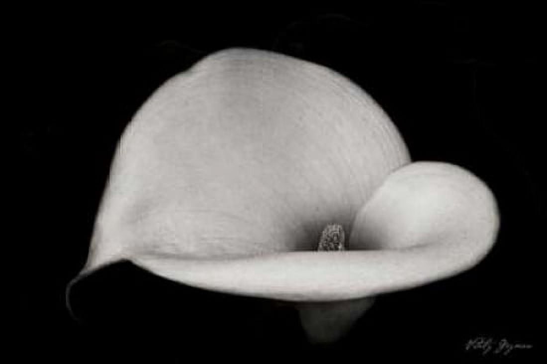 Calla Lily IV Canvas Art - Vitaly Geyman (24 x 36)