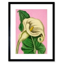 Calla Lily Painting Art Print Framed Poster Wall Decor 9x7 inch