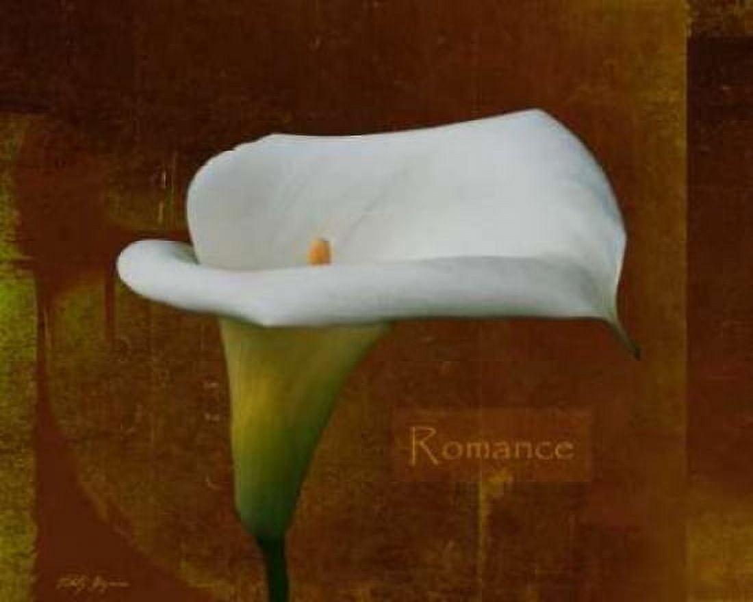 Calla Lily Romance Canvas Art - Vitaly Geyman (24 x 30)