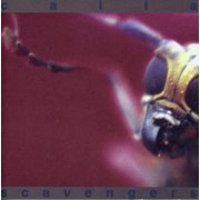 Calla - Scavengers - Music & Performance - CD