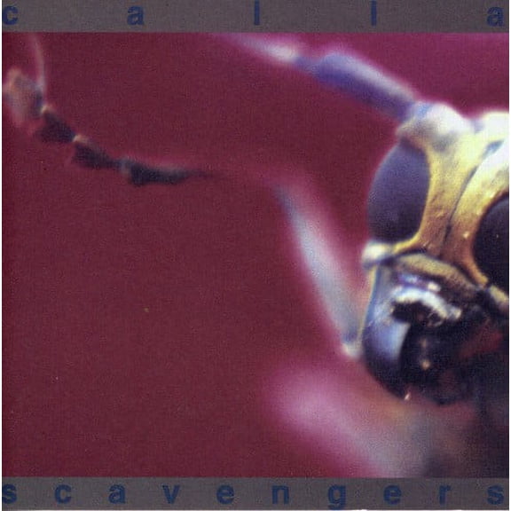 Calla - Scavengers - Music & Performance - CD