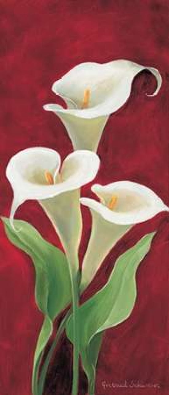 Calla on burgundy I Canvas Art - Gertrud Schweser (10 x 20)