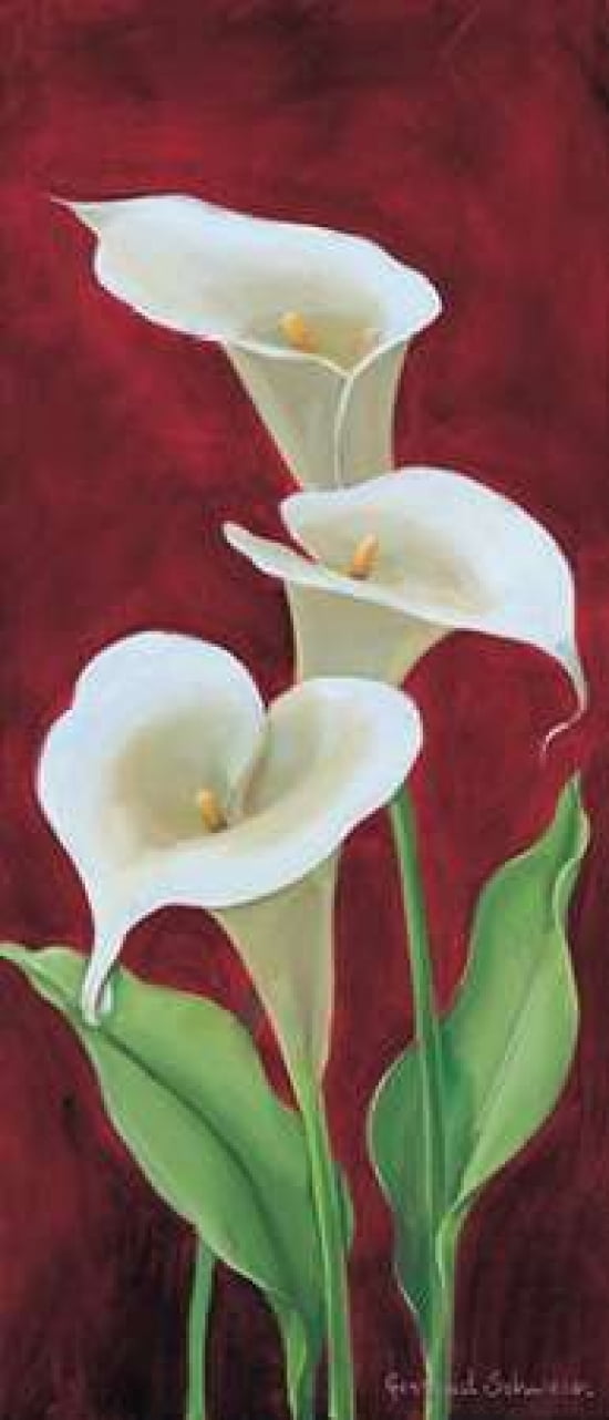 Calla on burgundy III Canvas Art - Gertrud Schweser (24 x 48)