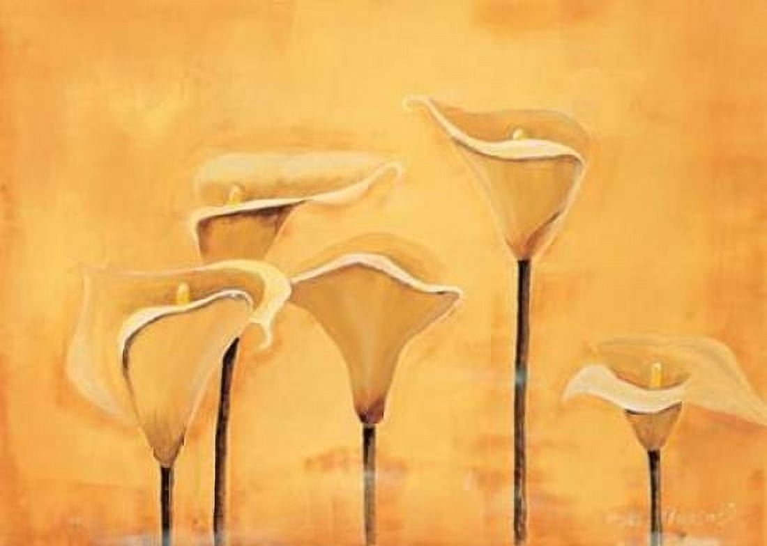 Calla on yellow Canvas Art - Florenti (20 x 28)