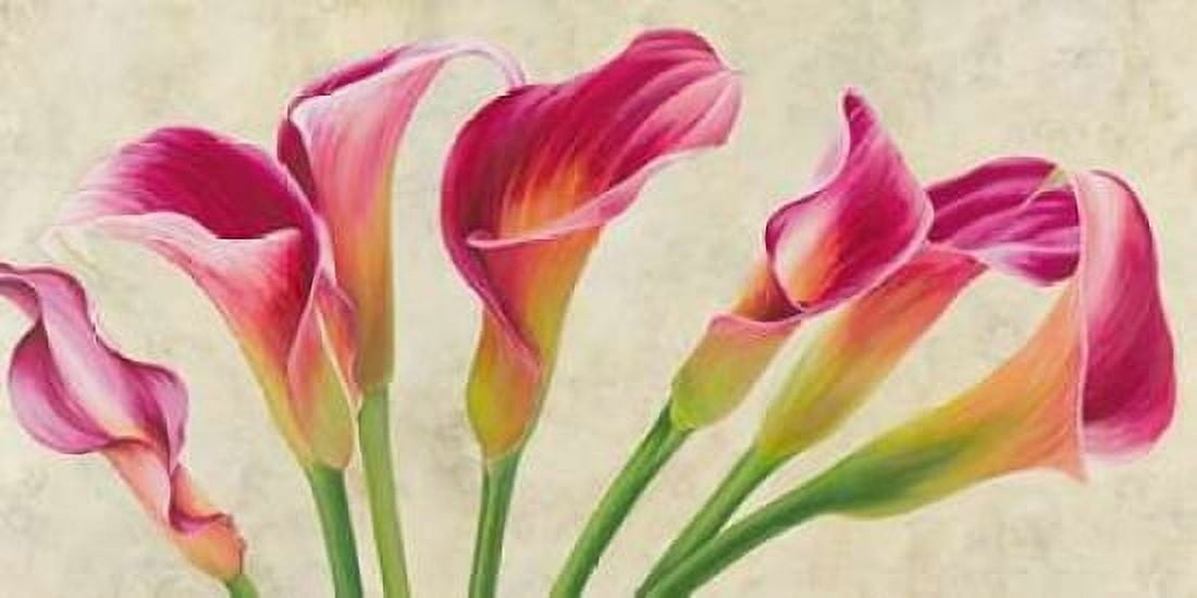 Calla parade Canvas Art - Luca Villa (10 x 20)
