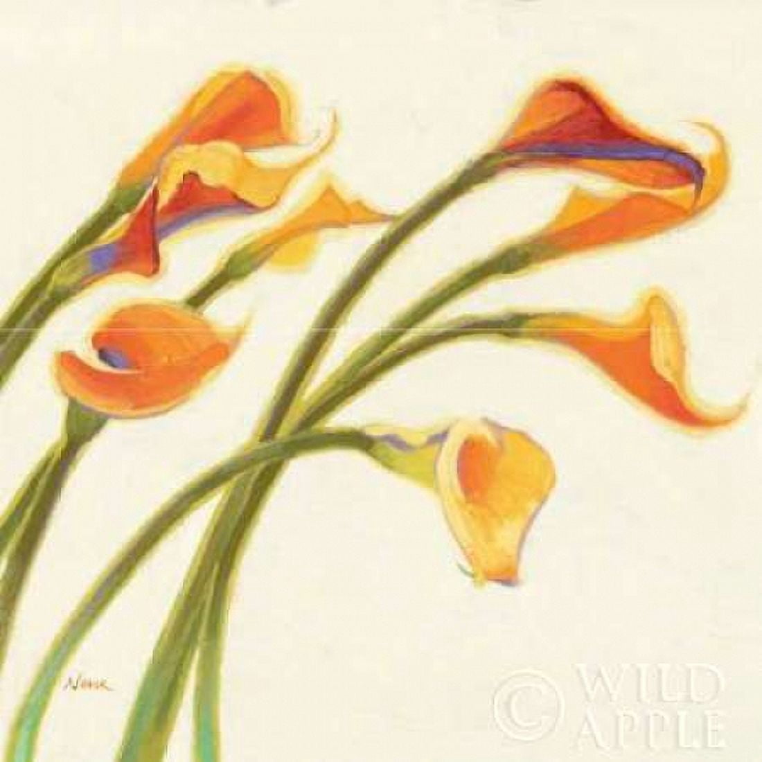 Callas in the Wind I Canvas Art - Shirley Novak (24 x 24)