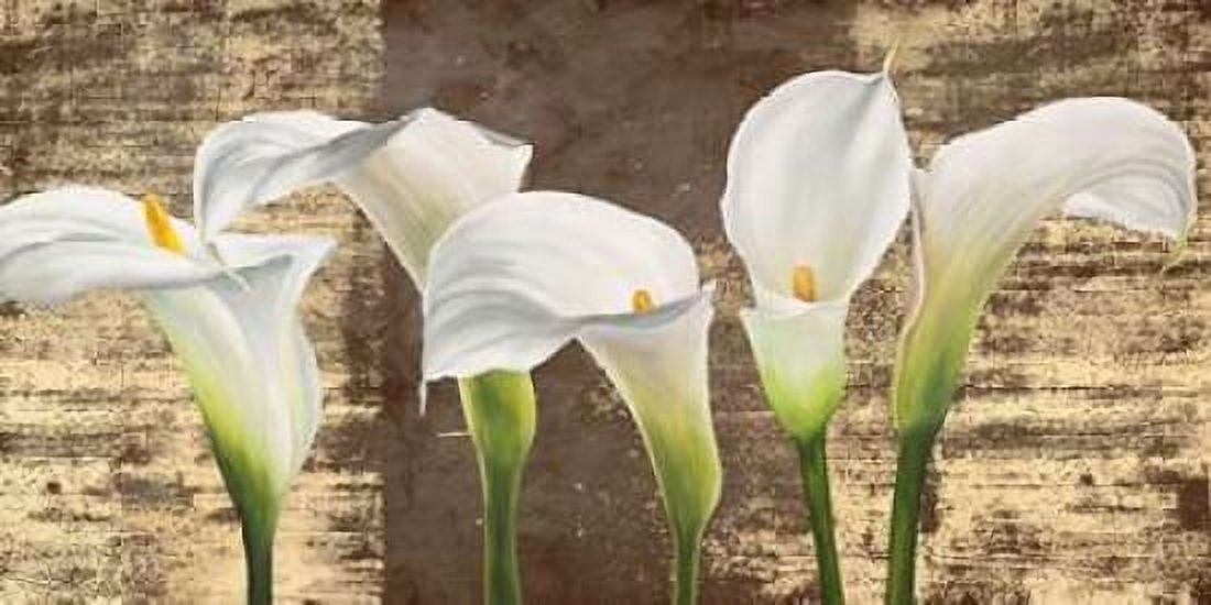Callas on Gold (mocca variation) Canvas Art - Jenny Thomlinson (10 x 20)