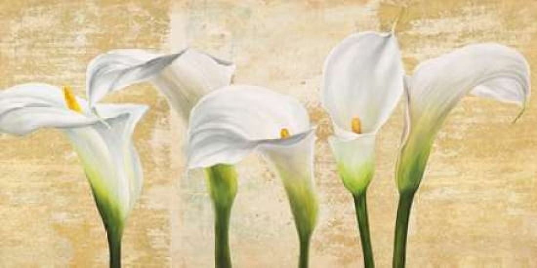 Callas on Gold (neutral variation) Canvas Art - Jenny Thomlinson (10 x 20)