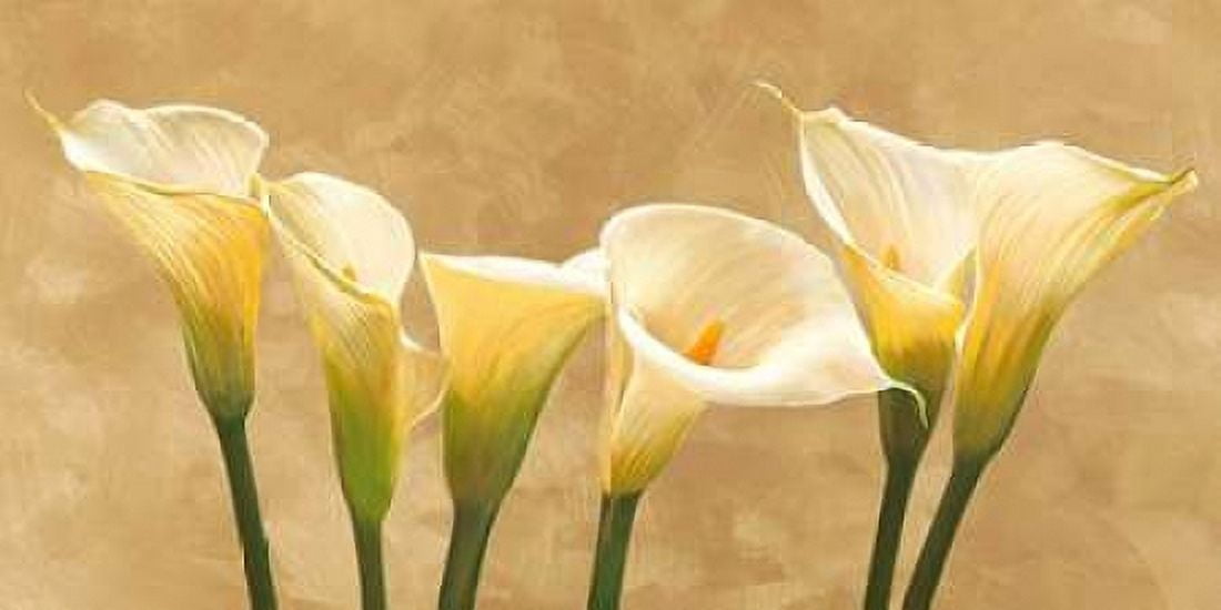 Calle bianche Canvas Art - Serena Biffi (24 x 48)