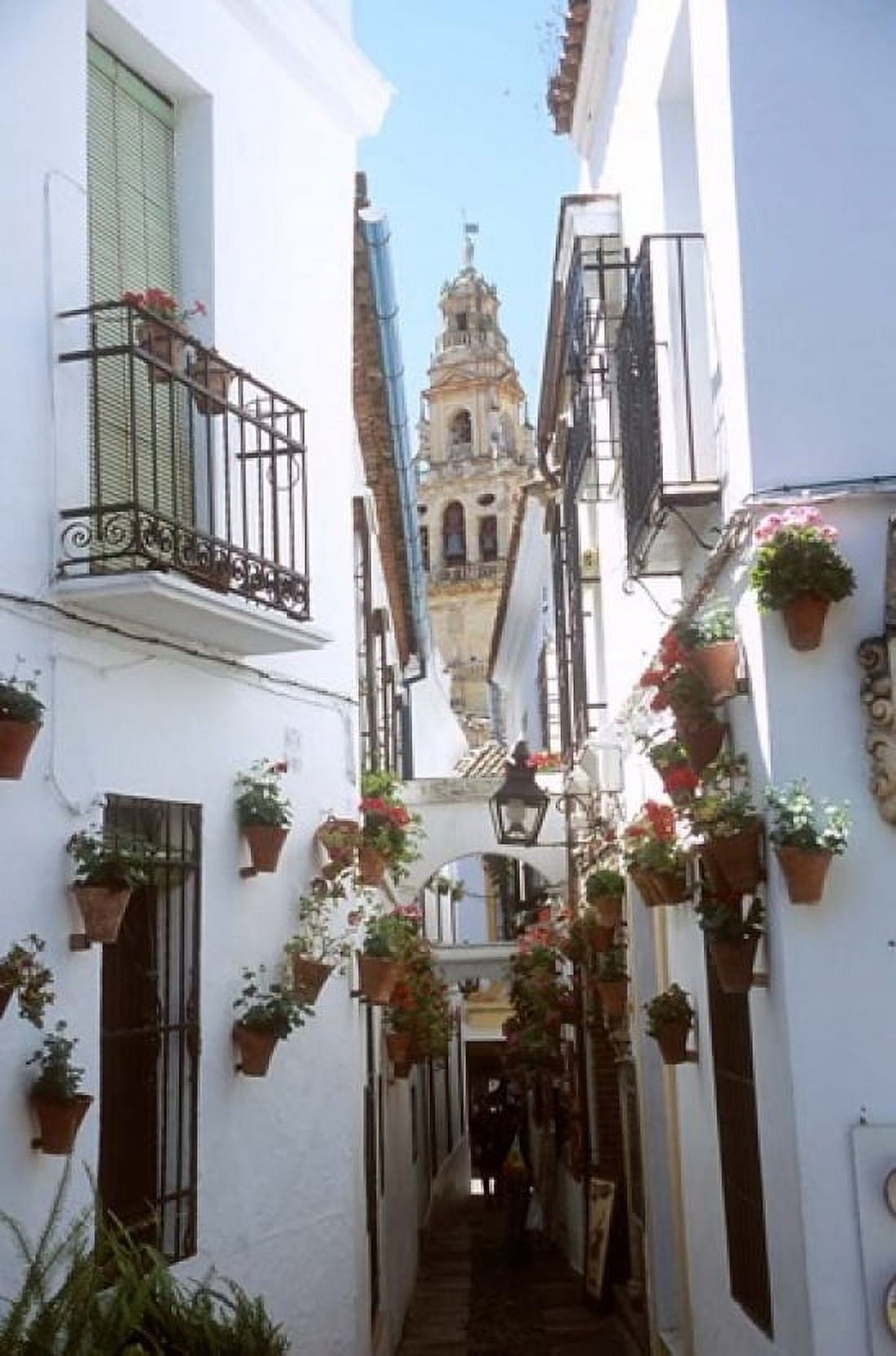 Calleja de las Flores (Flower Alley) Spain Canvas Art - Lynn Seldon DanitaDelimont (12 x 17)