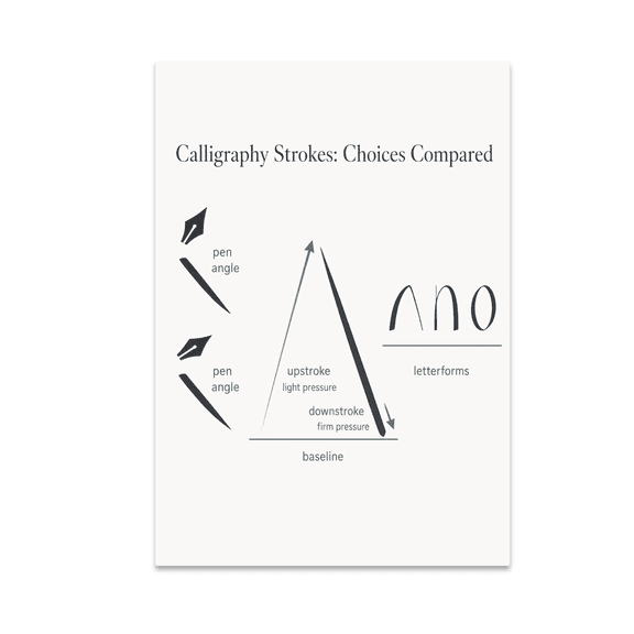 Calligraphy Strokes Choices Compared Educational Reference - Lettering Artist - 13x19 Poster Print